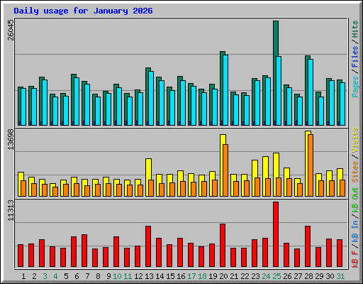 Daily usage for January 2026