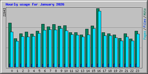 Hourly usage for January 2026